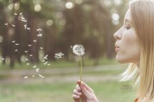 Captivating scene of a woman standing in a lush green park, joyfully blowing a dandelion into the clean and refreshing air, embracing the beauty of nature.