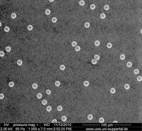 MP 10: Microparticles, 10.3 µm, PMMA (2)