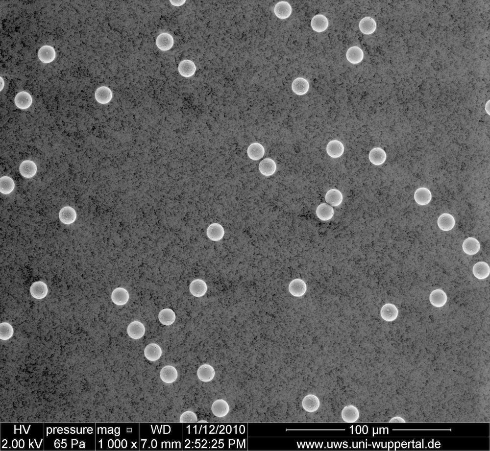 MP-10%3A-Microparticles%2C-10.3-%C2%B5m%2C-PMMA-%282%29