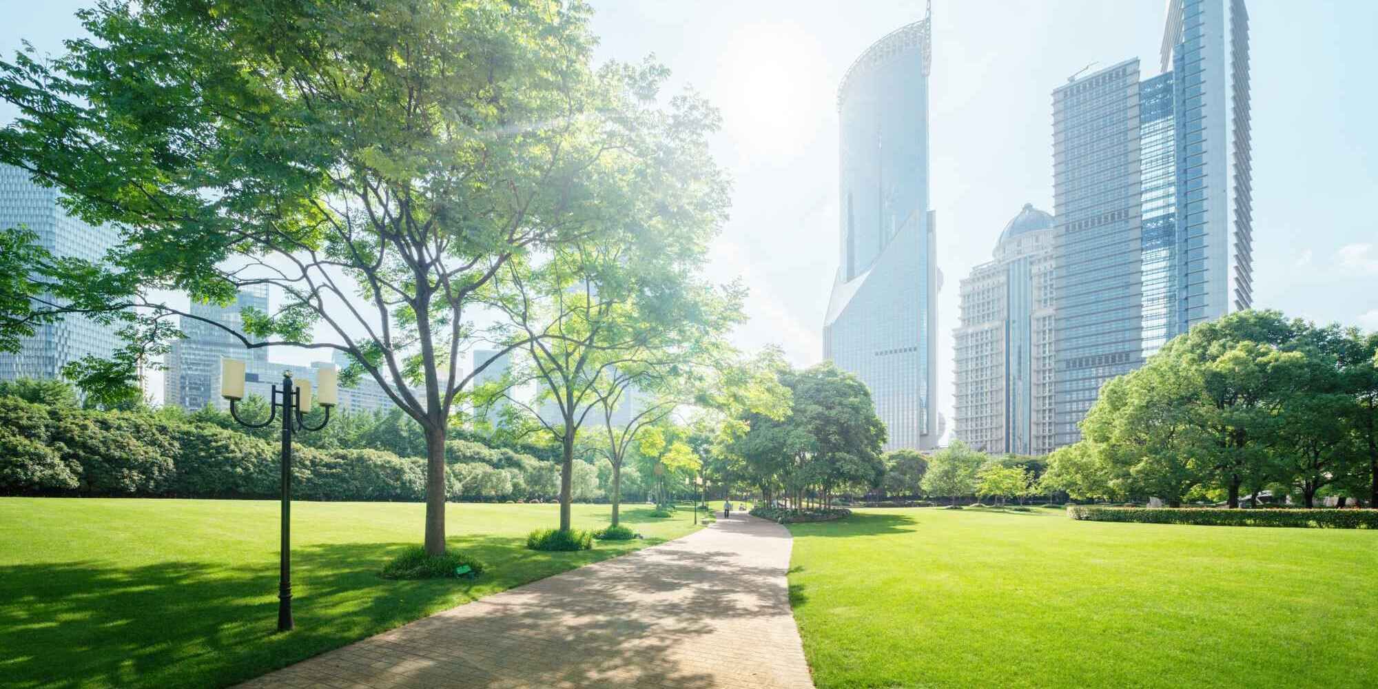 Green trees in a lush park, the skyline of a German city with skyscrapers in the background. Palas® devices allow accurate monitoring of the environment and factors that influence air quality.