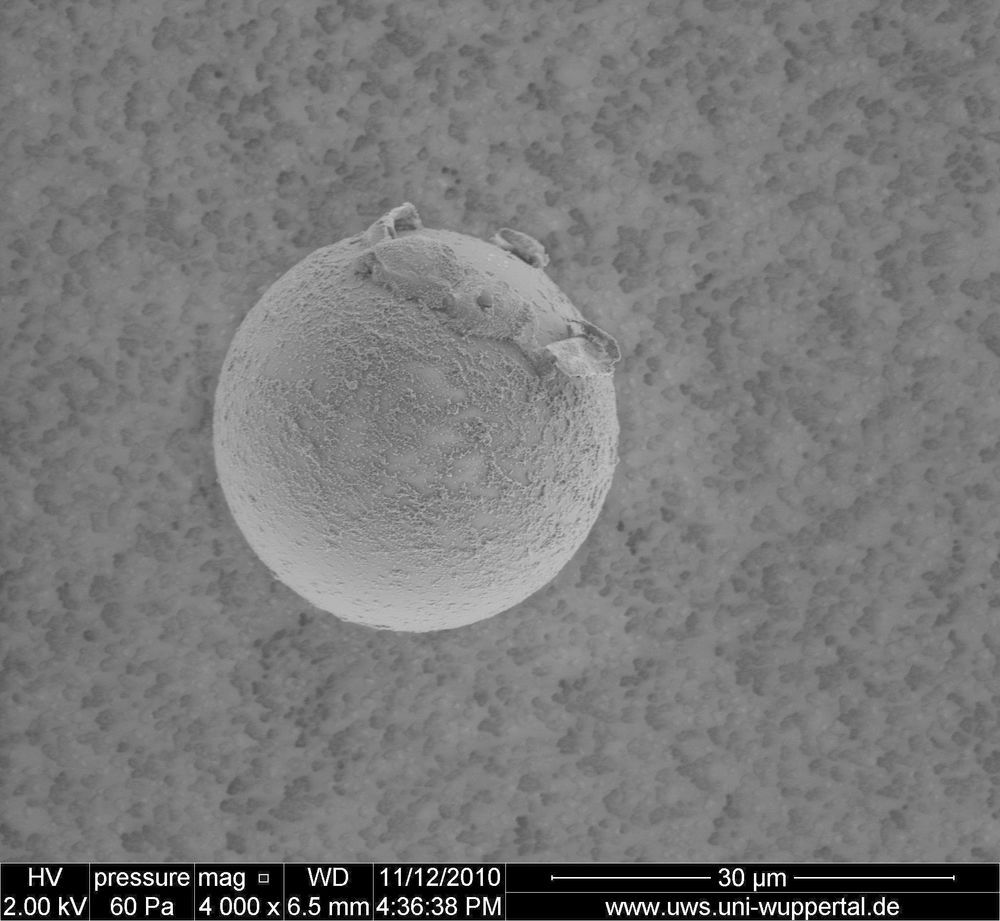 MP-30%3A-Microparticles--PMMA-%282%29