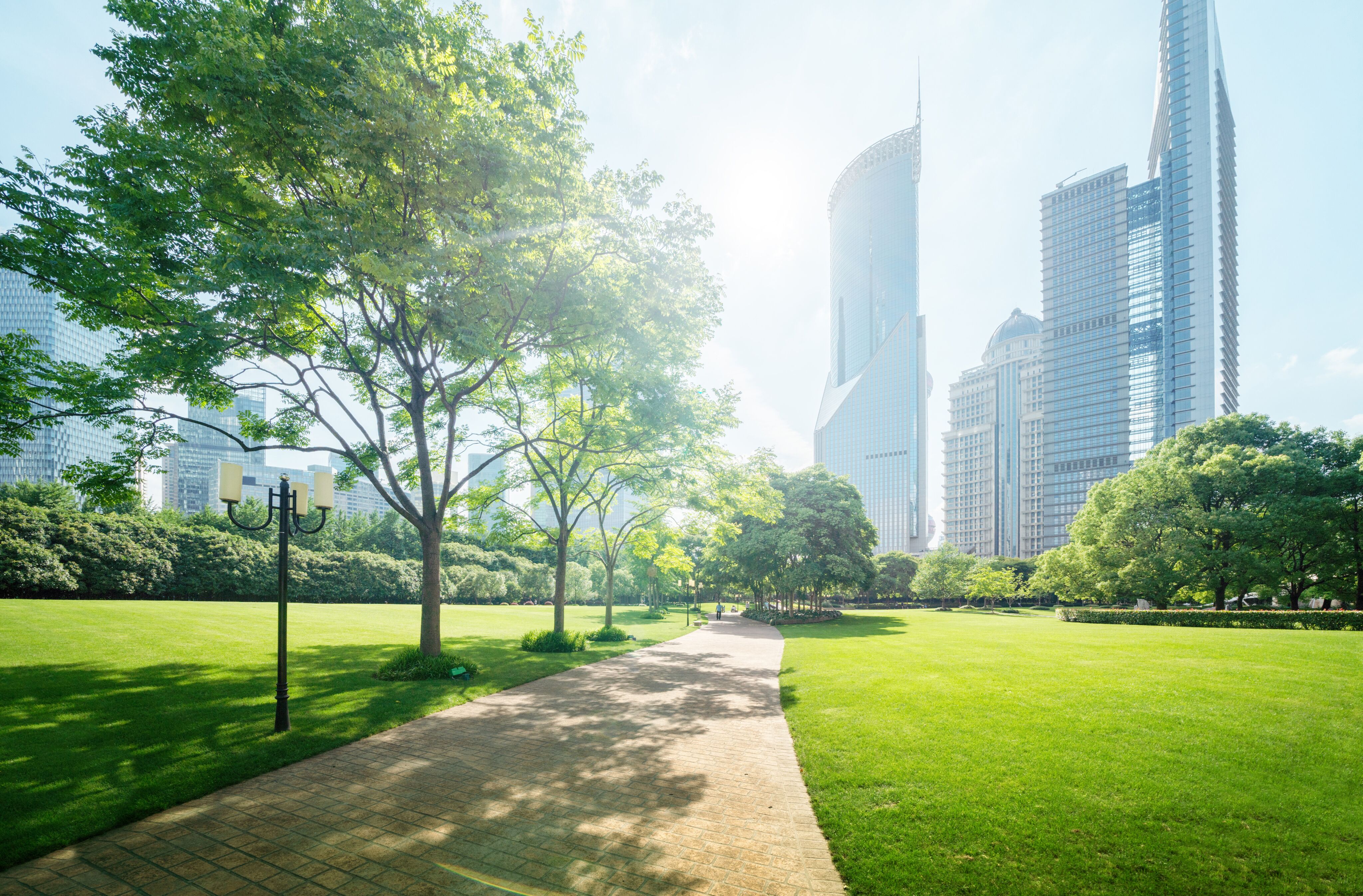 A peaceful scene with lush green trees, a park, and the distinctive skyline of a German city in the background